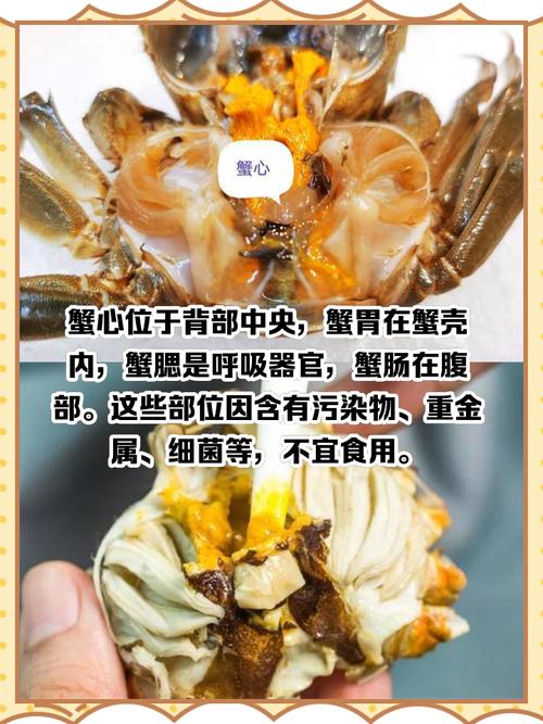 螃蟹什么地方能吃