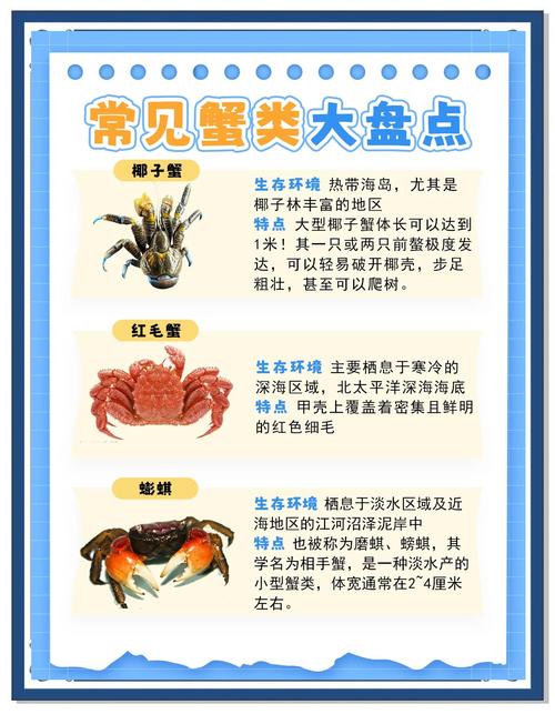 螃蟹什么地方能吃