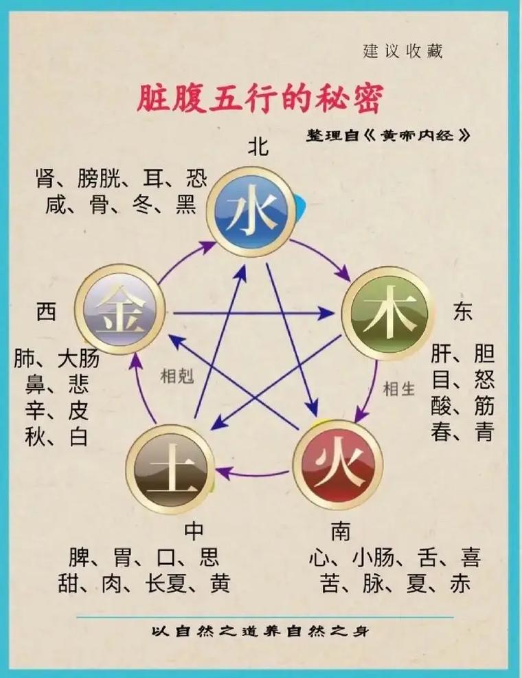 络五行属什么