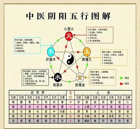 络五行属什么