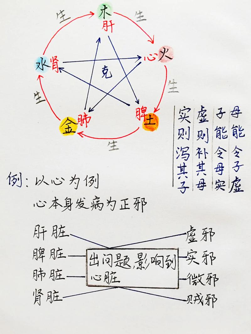 人的五观是什么