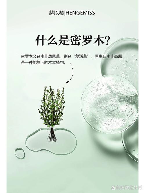 密罗木是什么
