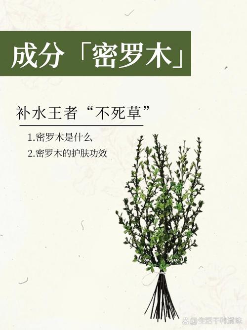 密罗木是什么