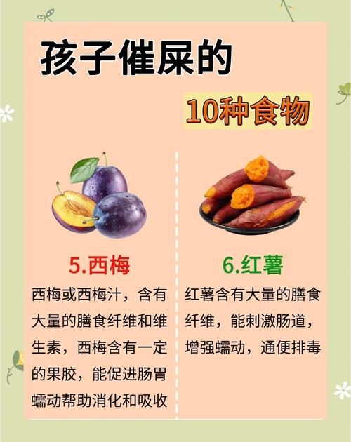 便秘吃什么容易排便