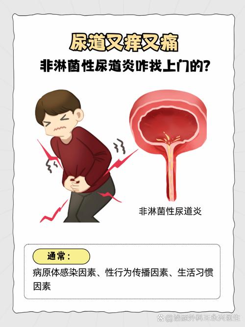 非淋是什么病