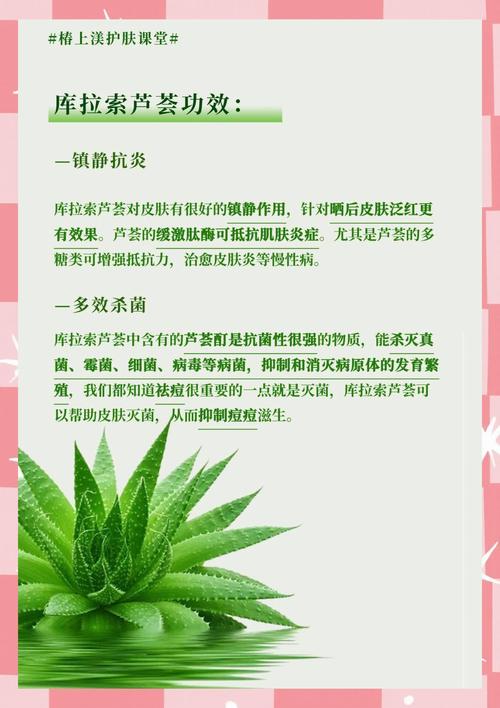 芦荟库拉索补水面膜怎么样