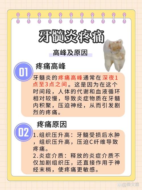 牙疼应该注意什么