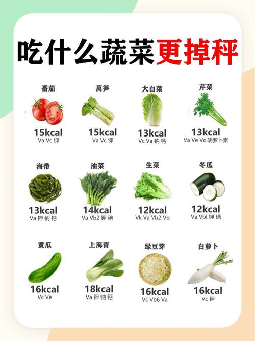 减肥期间吃什么菜好