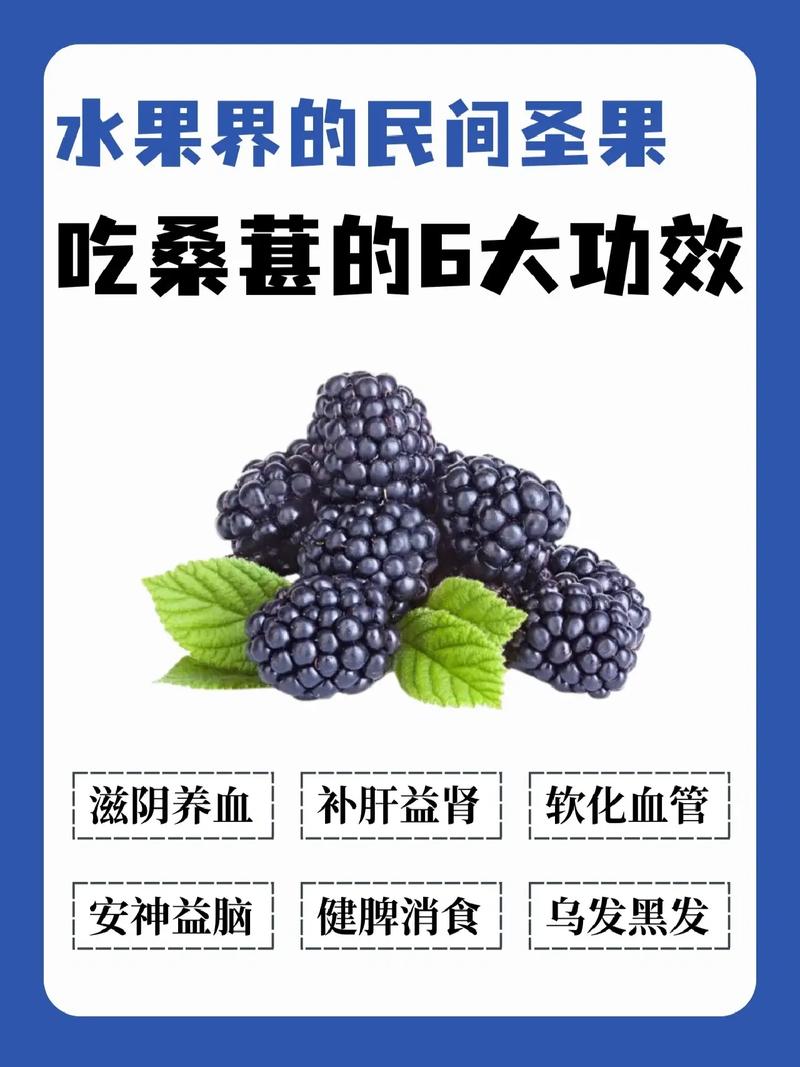 桑葚与什么相克