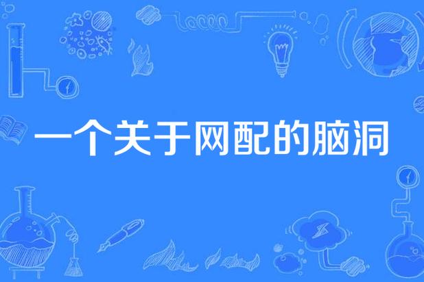 网配是什么