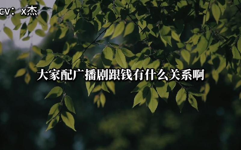 网配是什么