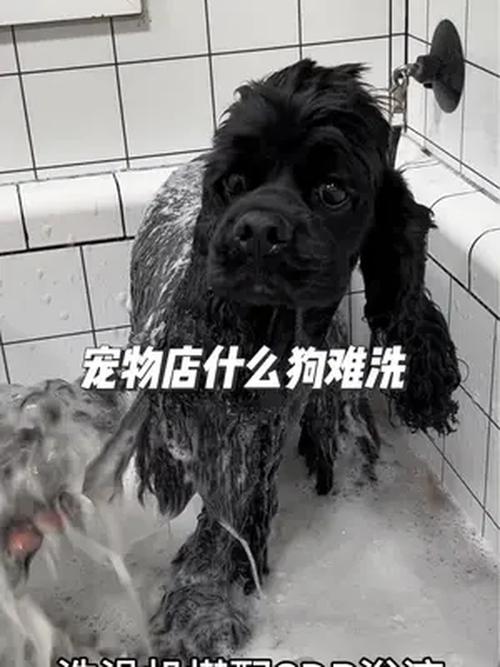什么难洗
