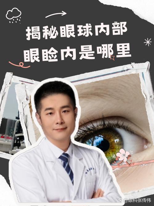 睑读什么