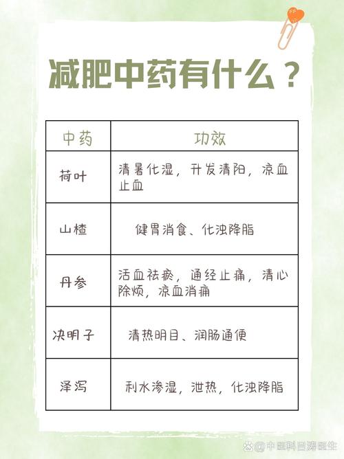 吃什么中药能减肥