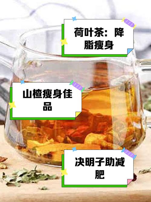 吃什么中药能减肥