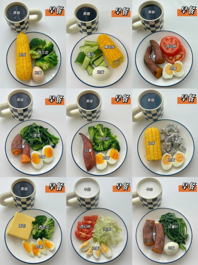 减肥肚子饿吃什么