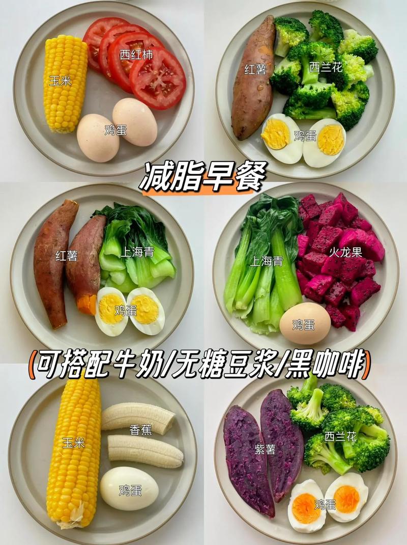 减肥一天三餐吃什么