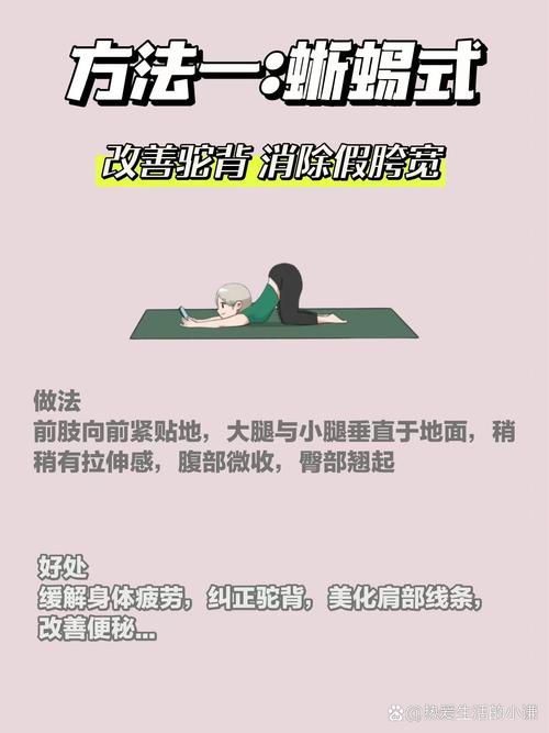 马甲线减肥辅助用什么