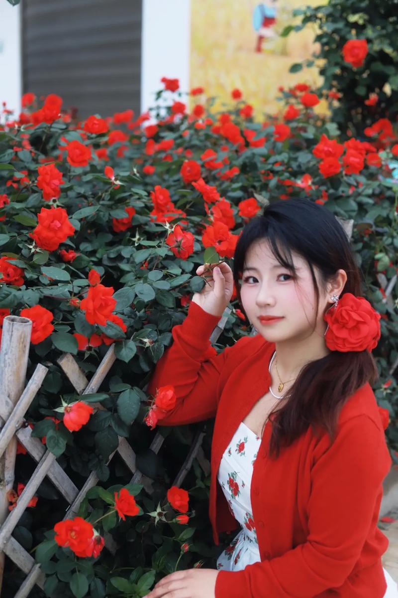 红色的花怎么搭配颜色好看吗