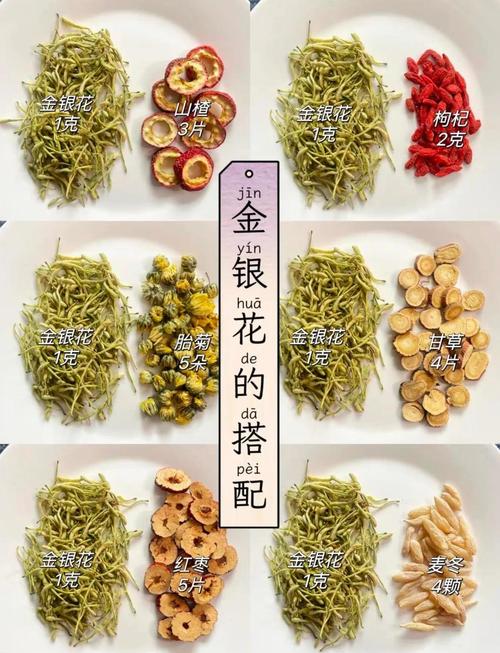金银花加什么可以减肥