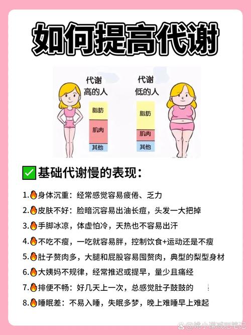 减肥为什么那么慢