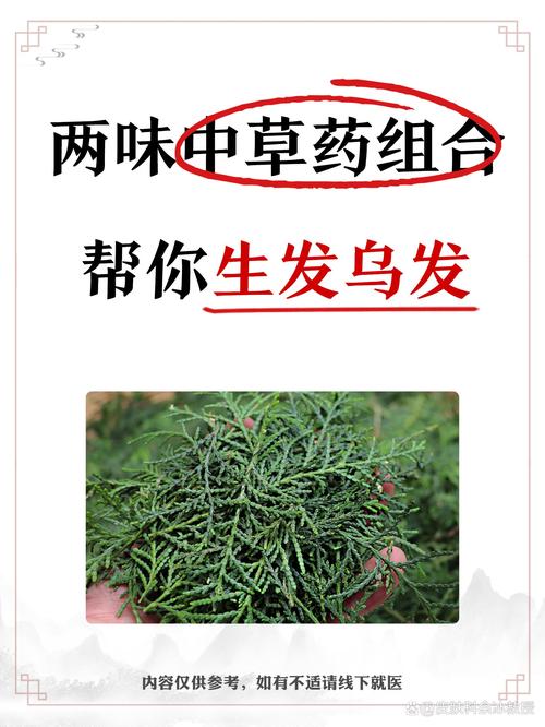什么中药对头发好
