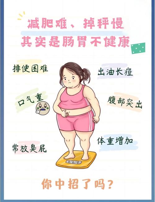 减肥前期为什么减的慢