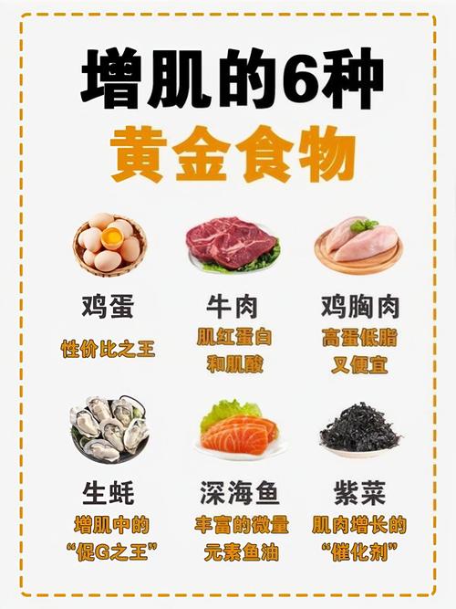 减肥练肌肉需要吃什么
