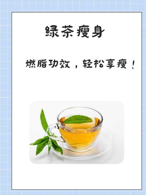 喝什么绿茶减肥效果好