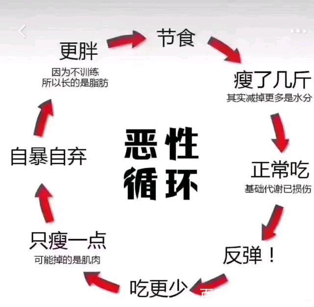 不吃饭减肥有什么危害