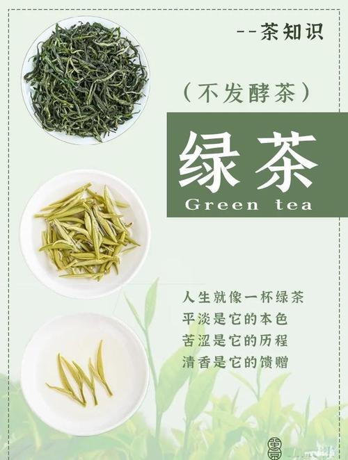 绿茶配什么药能减肥