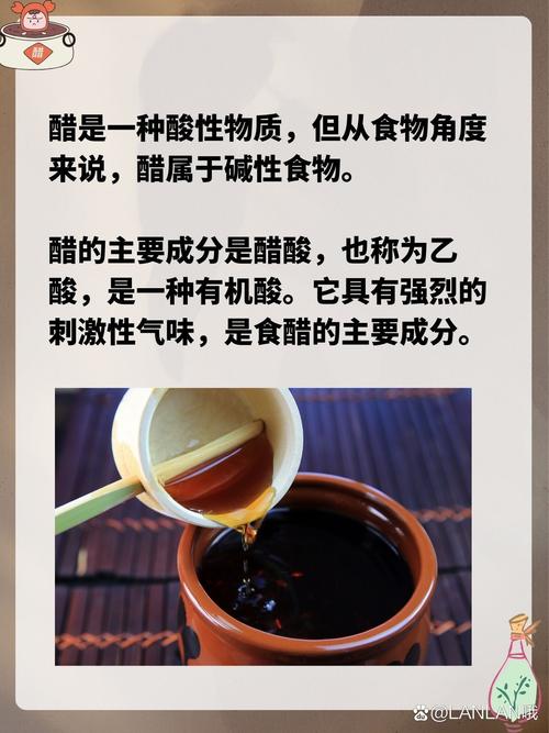食醋减肥用什么 醋