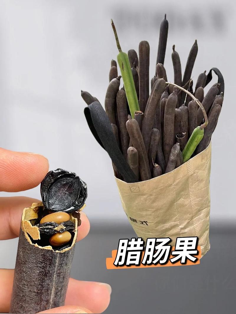 什么水果对便秘好