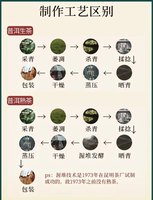 为什么普洱茶减肥