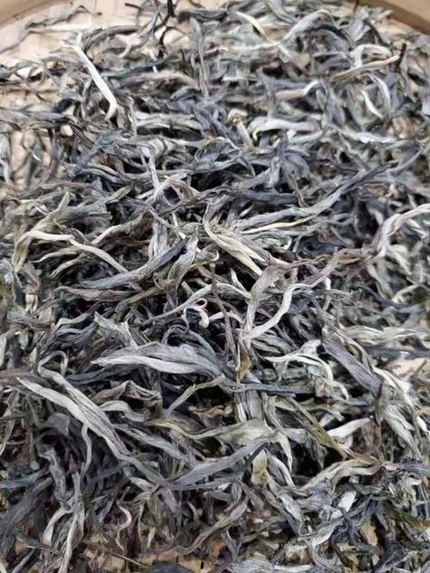 为什么普洱茶减肥