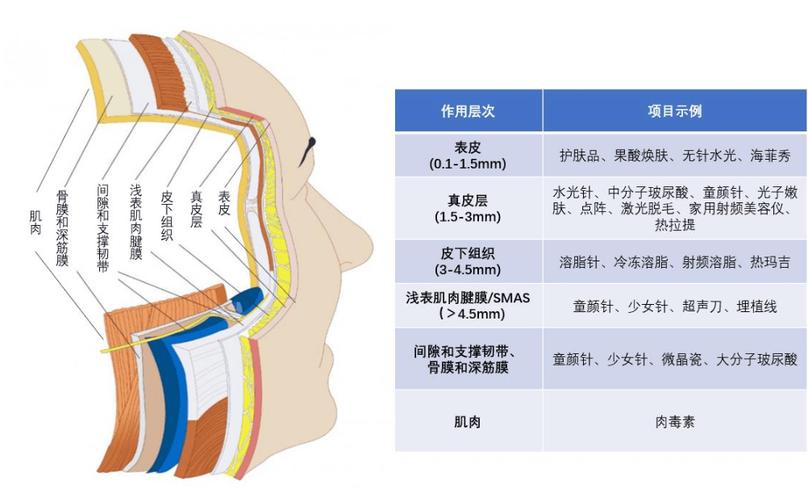 什么叫微整