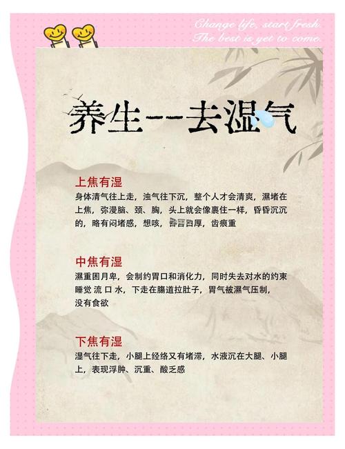 什么是去湿气