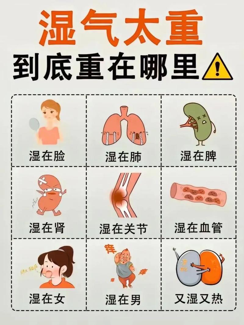 什么是去湿气