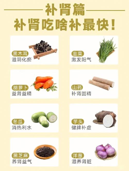 补肾是补什么