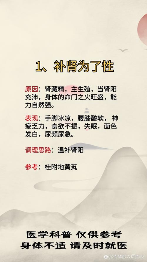 补肾是补什么