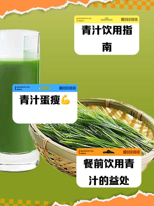 青汁减肥法1天1杯什么时候喝