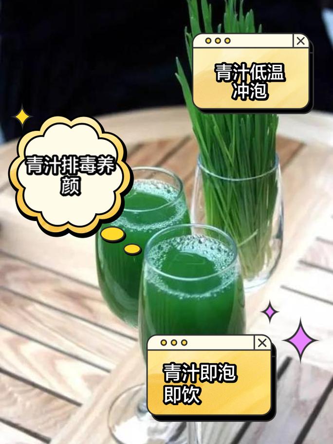 青汁减肥法1天1杯什么时候喝
