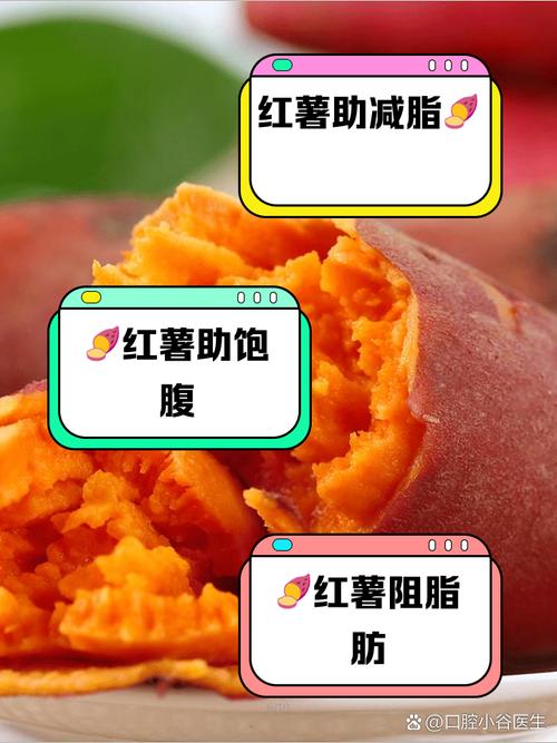 减肥选什么红薯