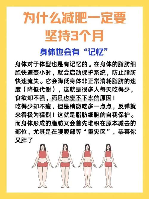 为什么有的人减肥不反弹