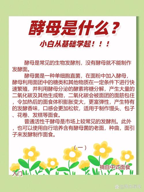 酵母什么作用