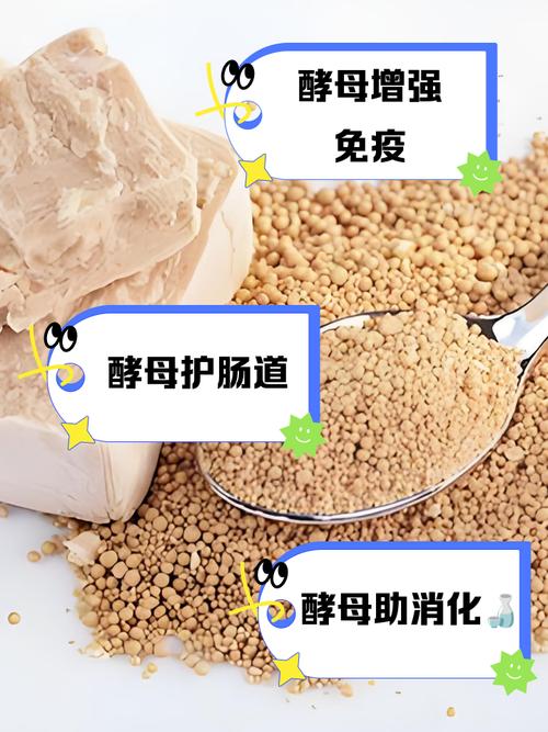 酵母什么作用