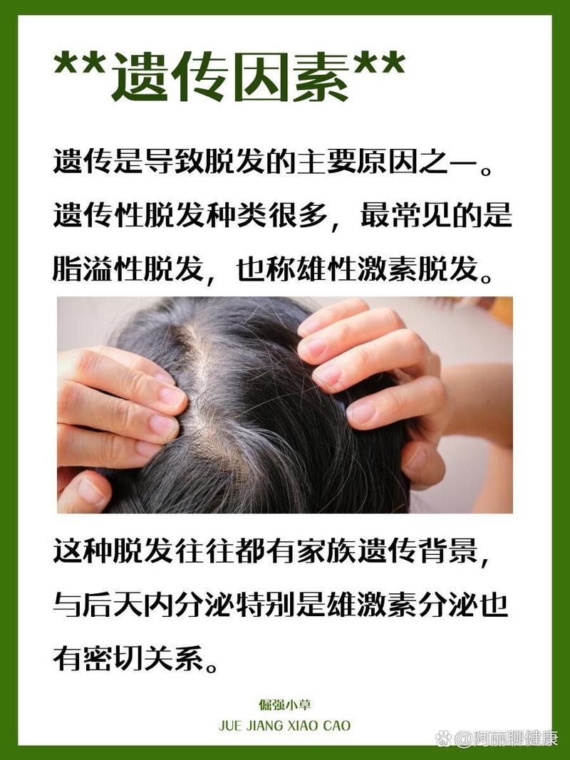 为什么人会掉头发