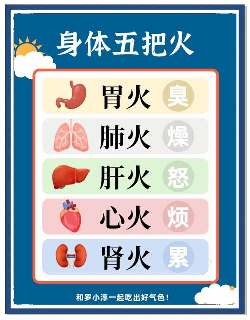 什么减肥降火