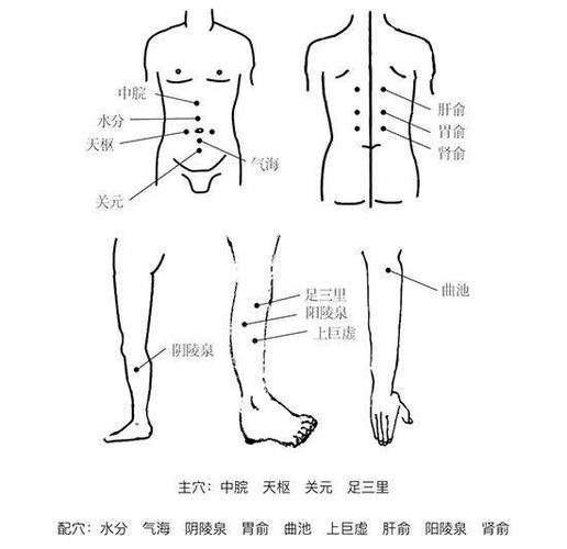 中医埋线减肥是什么线