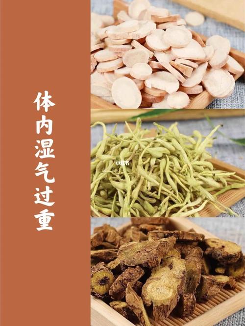 用什么中药减肥效果最好